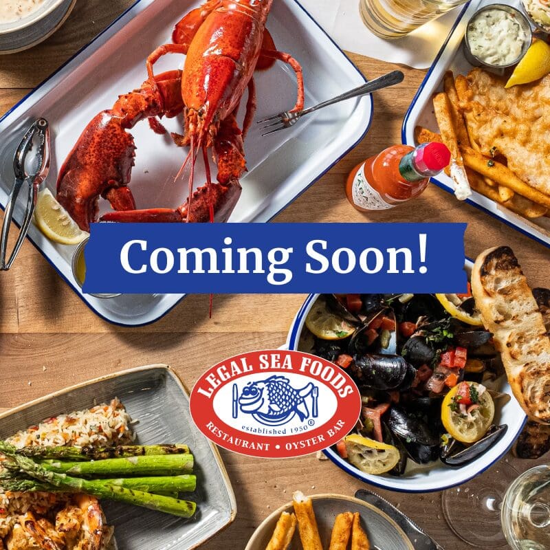 Coming Soon