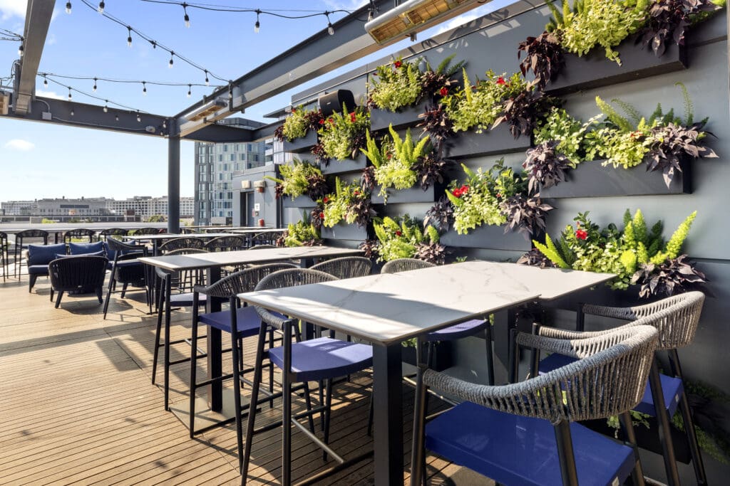 A rooftop patio featuring multiple dining tables and chairs with blue cushions. Decorative, lush green plants are mounted on a vertical wall, and string lights are draped from the overhead beams. The view shows surrounding buildings under a clear blue sky.