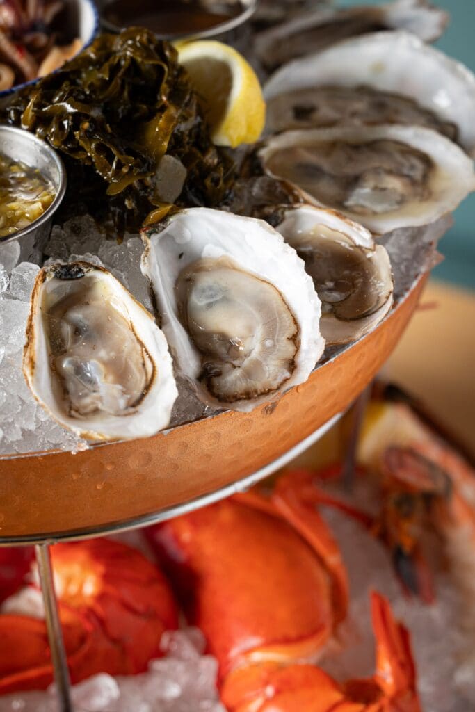Close-up of a seafood platter featuring fresh oysters on ice, garnished with lemon wedges. There's a lobster at the bottom of the platter and seaweed in the background. The image highlights the textures and presentation of the seafood.