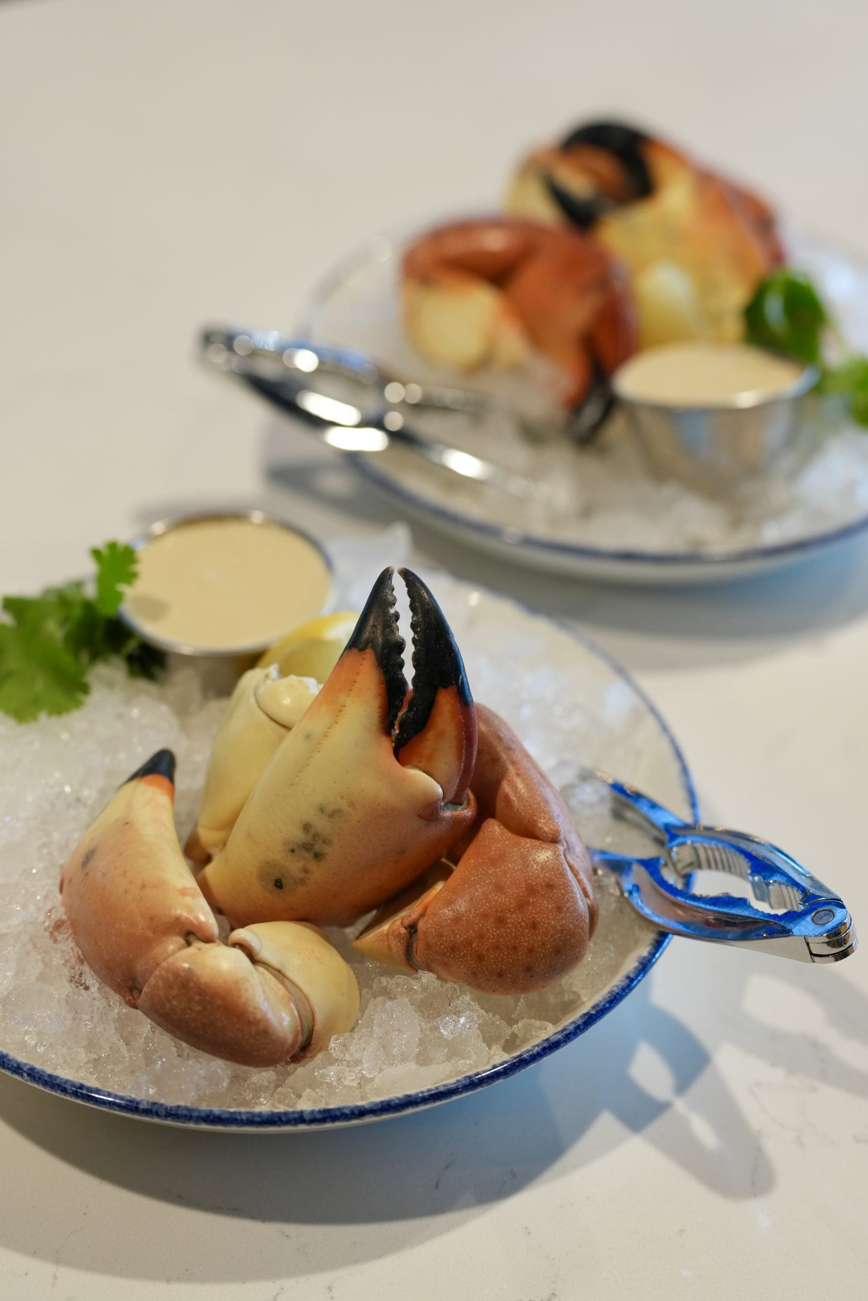 Two bowls of chilled stone crab claws on ice, each served with a metal cracker, a small dish of dipping sauce, and a sprig of cilantro, set on a white surface.