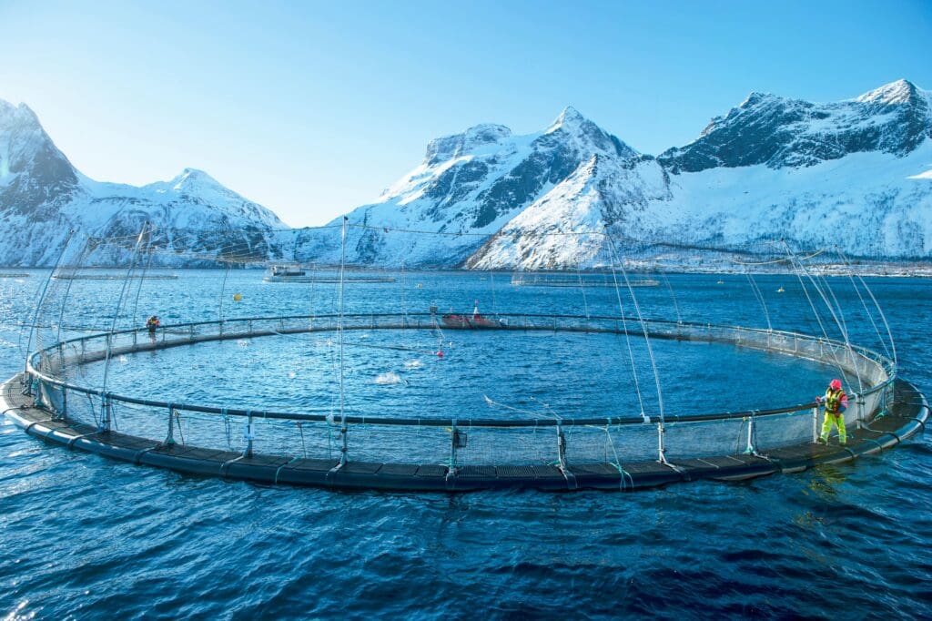 A large circular fish farm floats on blue water surrounded by snow-covered mountains. A person in a yellow suit stands on the edge, tending nets and ropes—perhaps ensuring the next Wild King Salmon Menu at Legal Sea Foods is fresh under a clear sky.